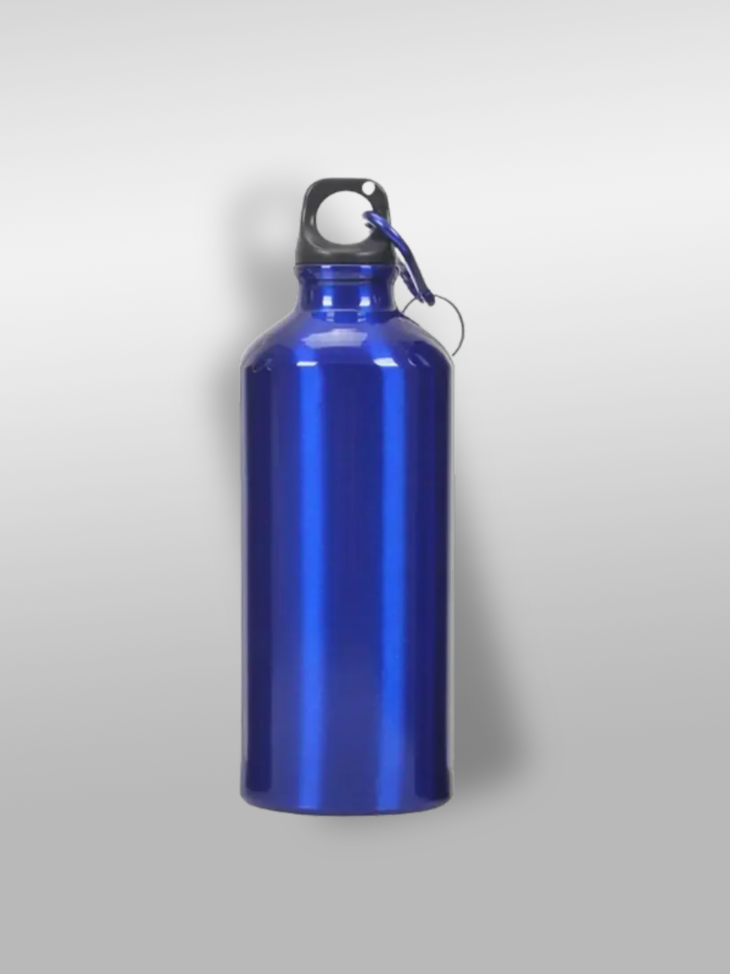 Gourde en aluminium