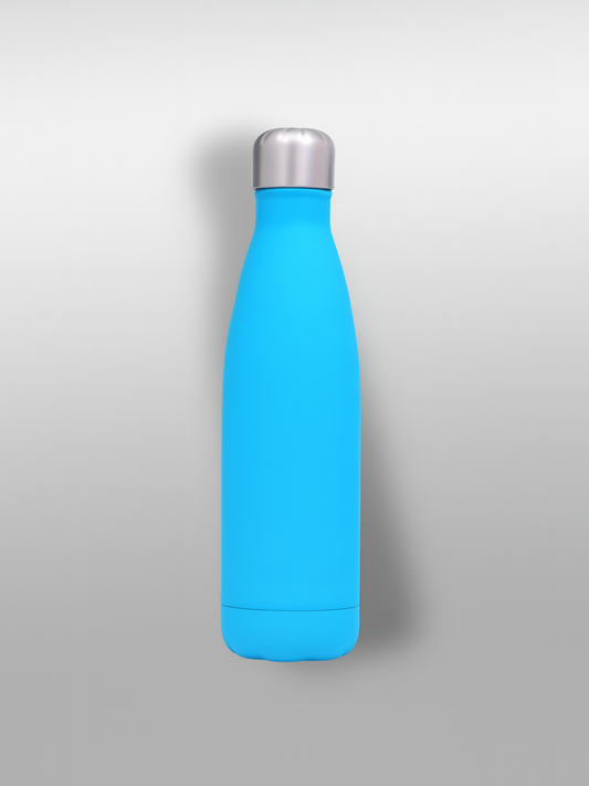 Gourde en acier | Bleue