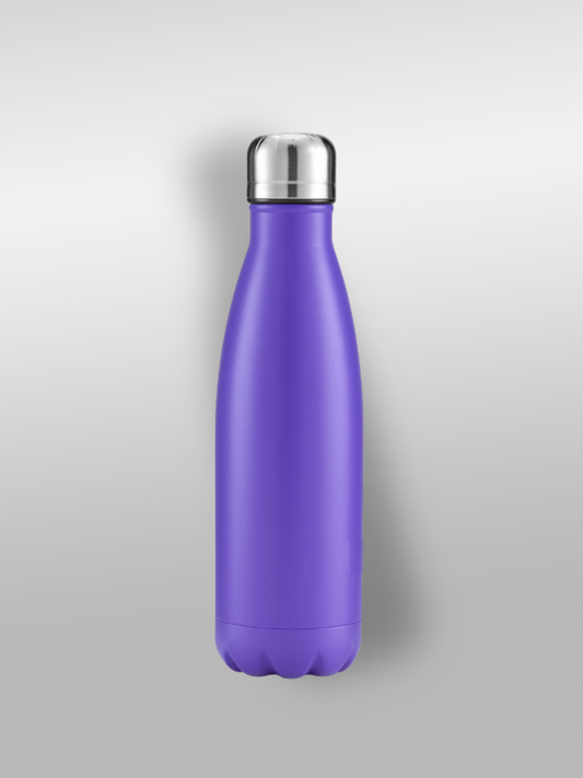 Gourde en acier | Violette