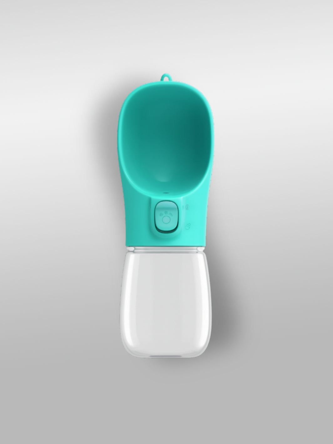 Gourde pour chien | Turquoise